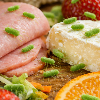 Badanie żywności: 2 bakterie (Obecność Listeria monocytogenes, Obecność Salmonella). KLIENT DOSTARCZA PRÓBKĘ.